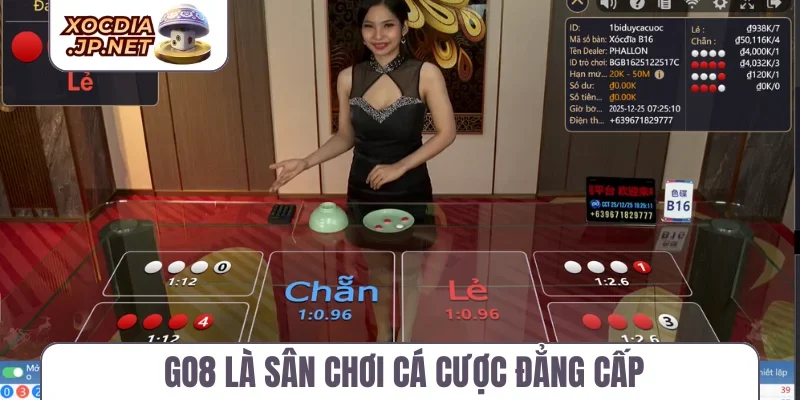 Go8 là sân chơi cá cược đẳng cấp